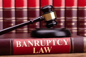 Bankruptcy Law book in Bloomington IL